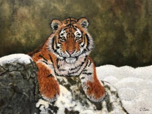 Sumatran Tiger Cub - Snowed In